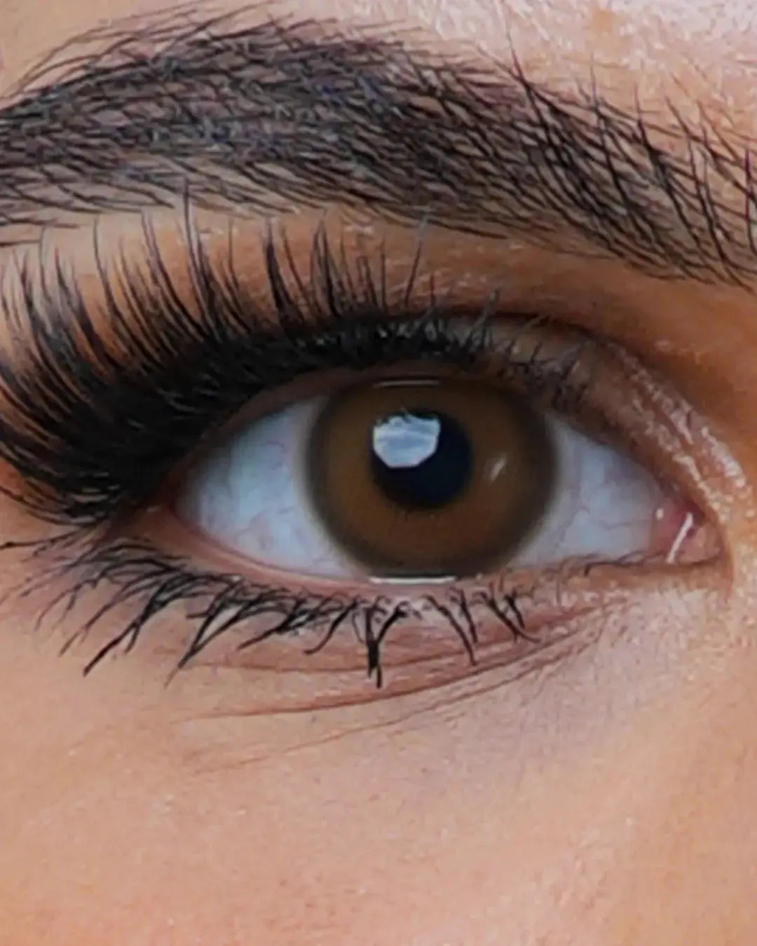 Honey Moon Ray Lenses