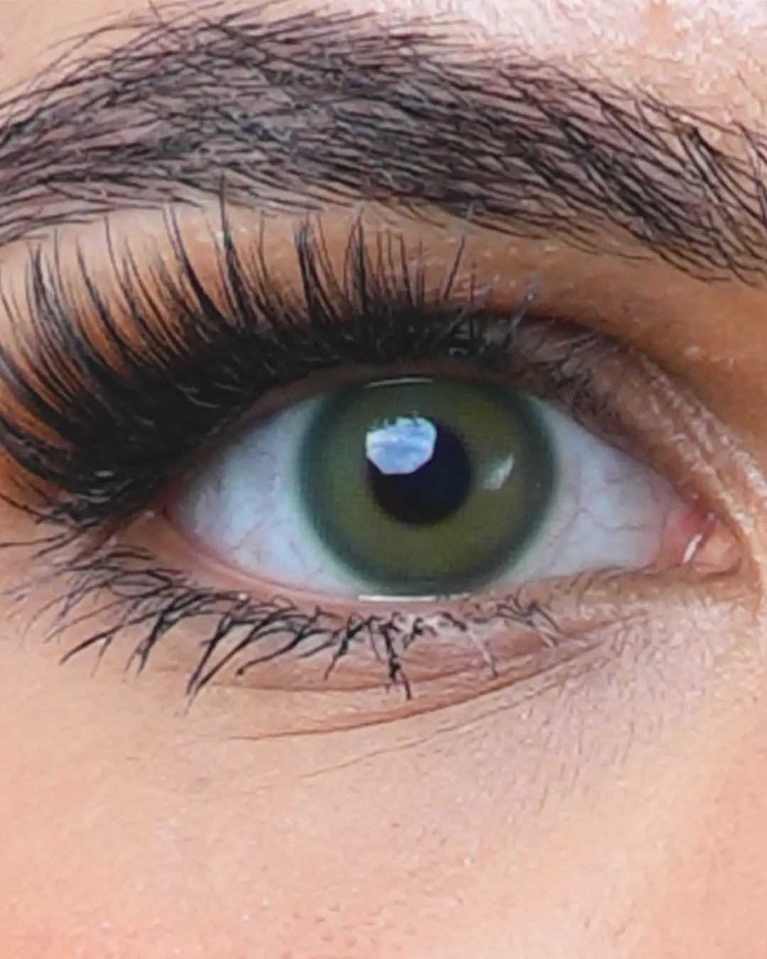 Sweet Tea Ray Lenses