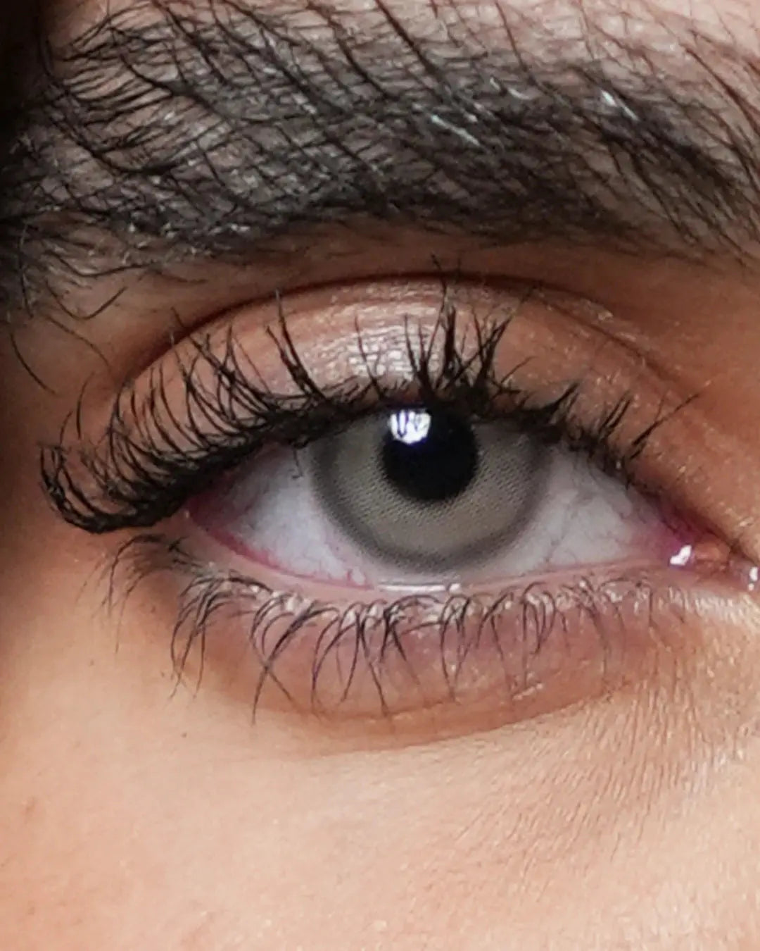 White Rose Ray Lenses